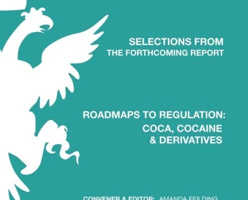 Capítulo sobre el uso de la coca y su contexto cultural