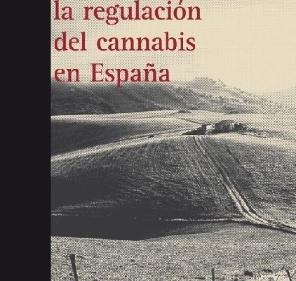 Análisis sobre las sendas de la regulación en el contexto social
